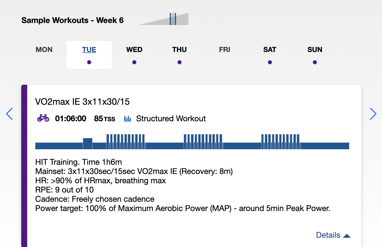On grey background a trainingpeaks sample workout is shown in blue colour, with a detailed workout description below the workout.